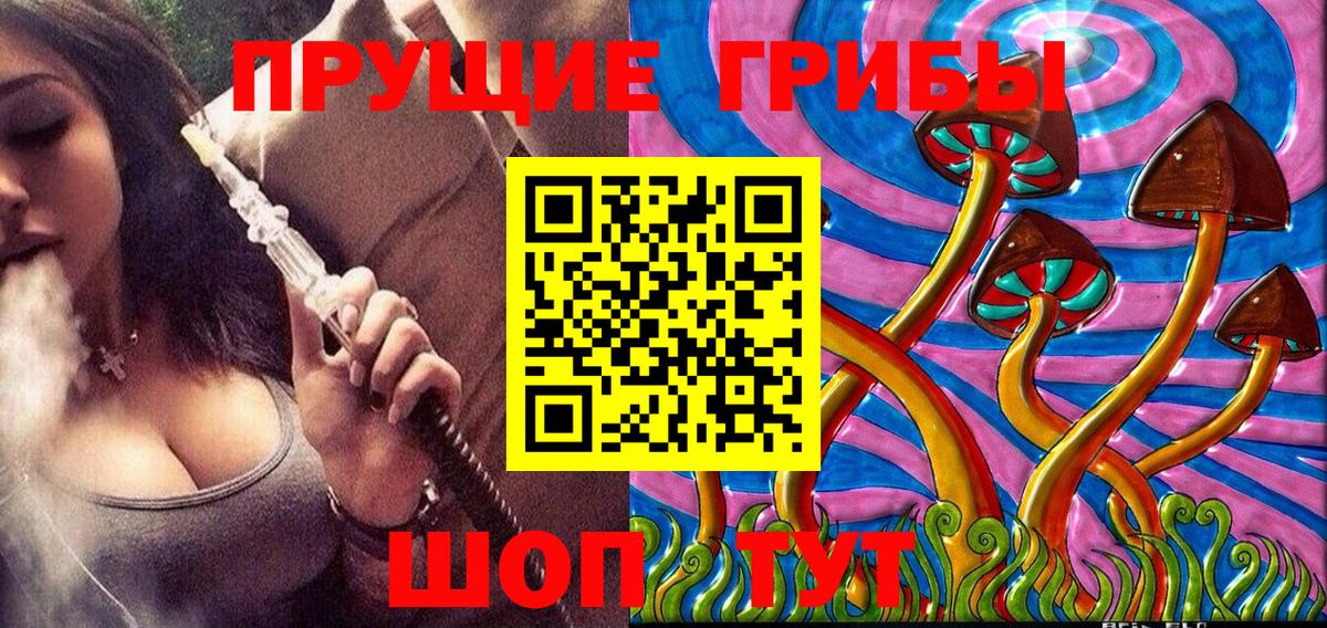 Канаш  Псилоцибиновые грибы мухоморы  Псилоцибиновые грибы Psilocybe  Вход с VPN 
