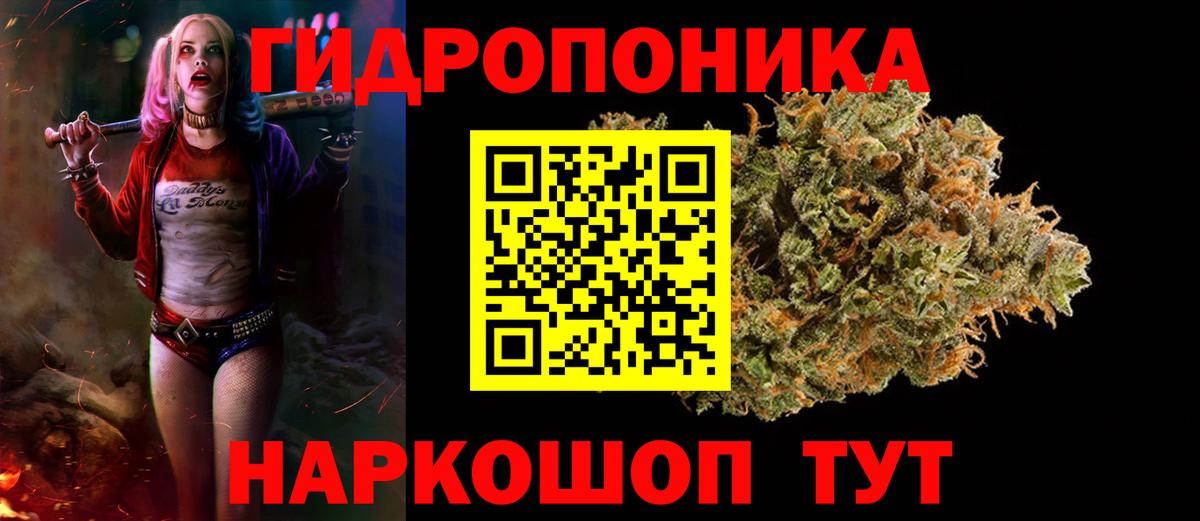 Канабис марихуана Канаш